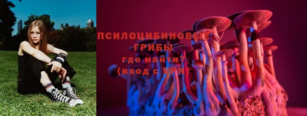 прущая мука Армянск