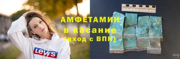 стаф Аркадак