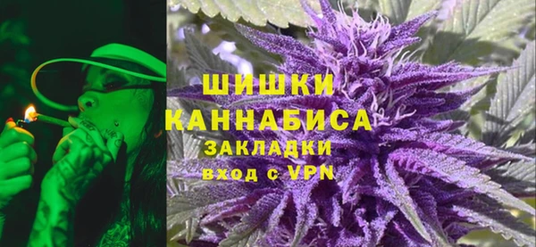 стаф Аркадак
