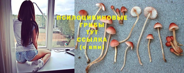 синтетический гашиш Баксан