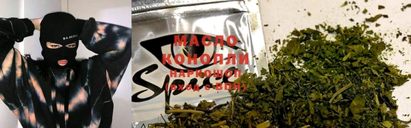 стаф Аркадак