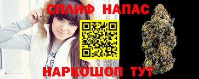 бошки Гагарин