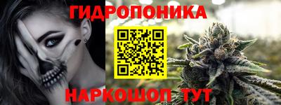 дурь Гай