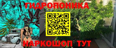 бошки Гагарин