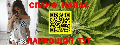 мяу мяу мука Гатчина