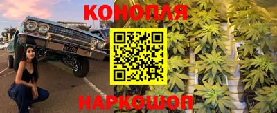 дурь Гай