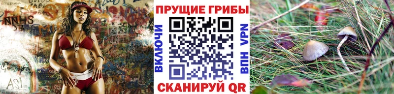Галлюциногенные грибы мухоморы Можга